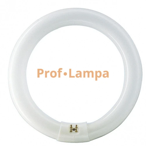 Лампа PHILIPS TL-E Circular 40W/54-765 G10q