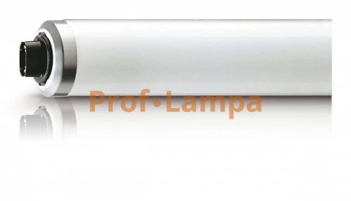 Лампа для фототерапии PHILIPS TL 100W/12 R17D
