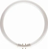 Лампа PHILIPS MASTER TL5 Circular 60W/840 2GX13