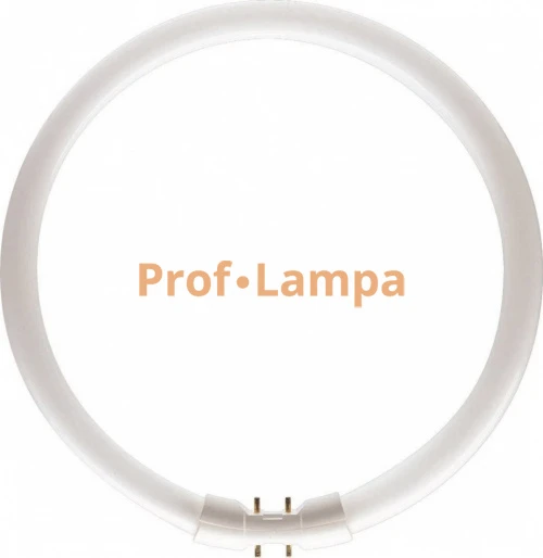 Лампа PHILIPS MASTER TL5 Circular 60W/840 2GX13