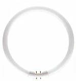 Лампа PHILIPS MASTER TL5 Circular 40W/830 2GX13
