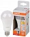 Лампа OSRAM LED STAR CLASSIC A 250 FR 20W/827 E27 A70 2700K