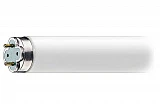 Лампа WELL FL10BL 10W G13 в ловушки для насекомых WE-100-2