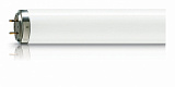 Лампа для фототерапии PHILIPS TL 100W/10-R G13