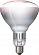 Лампа PHILIPS BR125 IR 175W E27 230-250V CL 