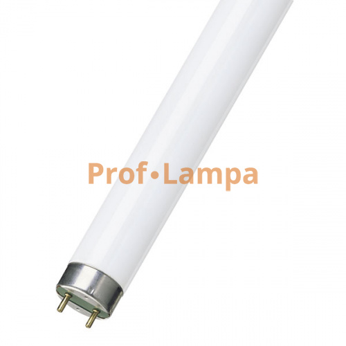 Лампа линейная люминесцентная RADIUM Standard NL-T8 58W/765 G13