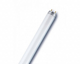 Лампа линейная люминесцентная OSRAM T8 L 40W/765 G13