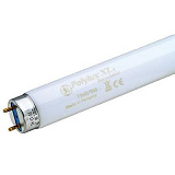 Лампа линейная люминесцентная GE T8 Polylux XLR FT8/36W/860 G13